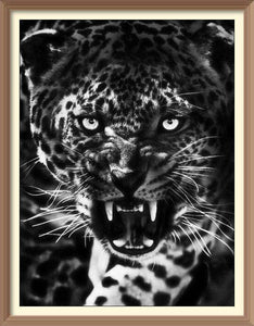 Black And White Scary Jaguar - Diamond Paintings - Diamond Art - Paint With Diamonds - Legendary DIY  | Free shipping | 50% Off