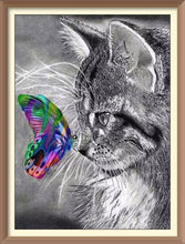 Colorful Butterfly on Kitty - Diamond Paintings - Diamond Art - Paint With Diamonds - Legendary DIY - Best price - Premium - Free Shipping - Arts and Crafts