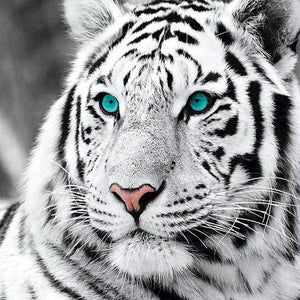 Blue Eyes White Tiger - Diamond Paintings - Diamond Art - Paint With Diamonds - Legendary DIY  | Free shipping | 50% Off