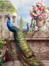 Peacocks & Flower 1