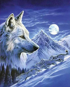 Snow Mountain Wolf - Diamond Paintings - Diamond Art - Paint With Diamonds - Legendary DIY  | Free shipping | 50% Off