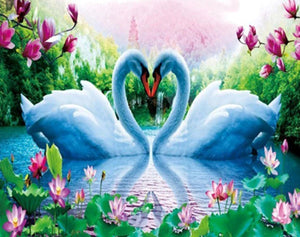 Swans and Lotus