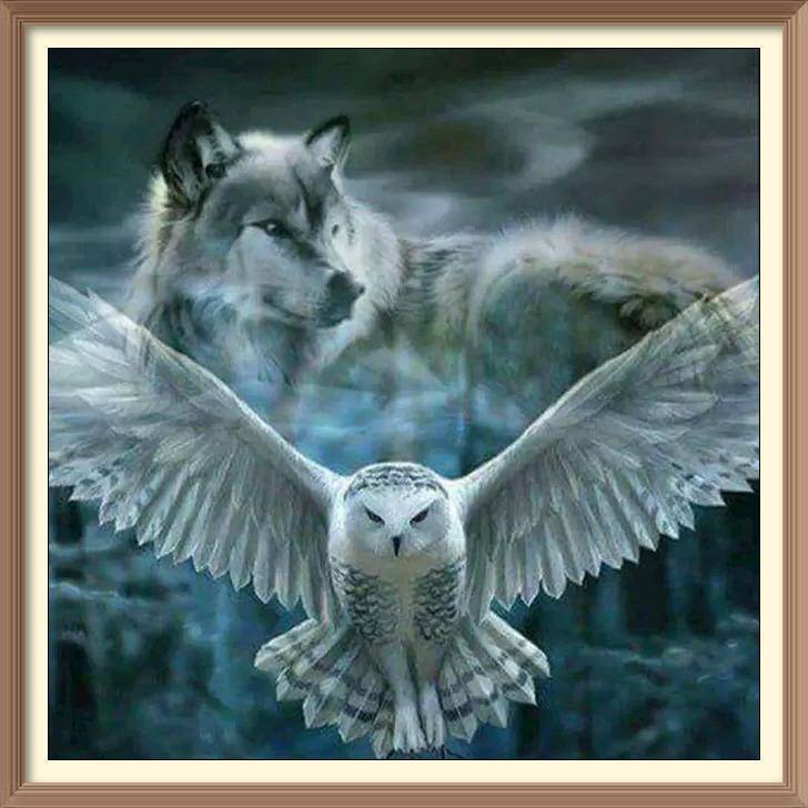 Wolf and Eagle - Diamond Paintings - Diamond Art - Paint With Diamonds - Legendary DIY - Best price - Premium - Free Shipping - Arts and Crafts