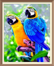 2 Parrots - Diamond Paintings - Diamond Art - Paint With Diamonds - Legendary DIY - Best price - Premium - Free Shipping - Arts and Crafts