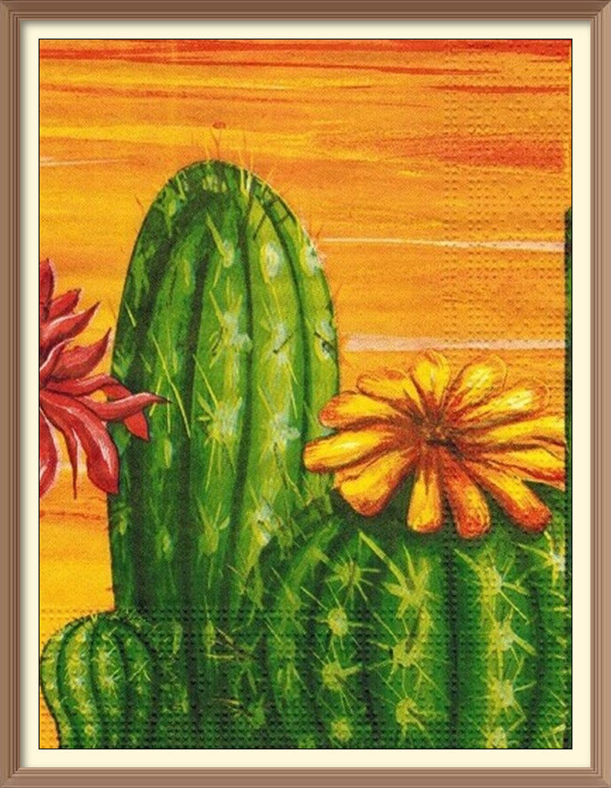 Cactus Drawing 4