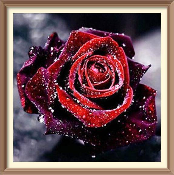 Dew Falls On Roses - Diamond Paintings - Diamond Art - Paint With Diamonds - Legendary DIY  | Free shipping | 50% Off