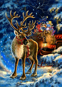 Reindeer of Santa