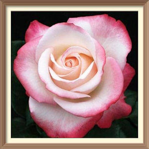 Pink Rose 3 - Diamond Paintings - Diamond Art - Paint With Diamonds - Legendary DIY  | Free shipping | 50% Off