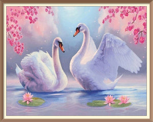 Swans Spring 1