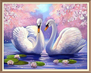 Swans Spring 2