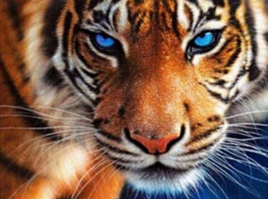 Blue Eyes Tiger - Diamond Paintings - Diamond Art - Paint With Diamonds - Legendary DIY  | Free shipping | 50% Off