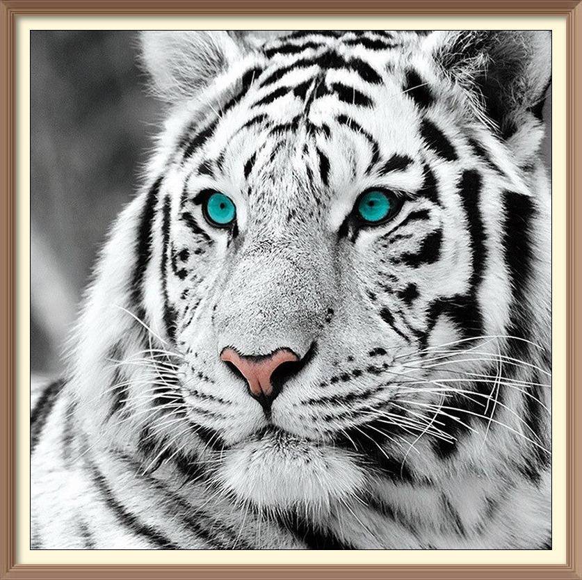 White Tiger Eye Sapphire - Diamond Paintings - Diamond Art - Paint With Diamonds - Legendary DIY  | Free shipping | 50% Off