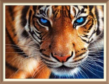 Blue Eyes Tiger - Diamond Paintings - Diamond Art - Paint With Diamonds - Legendary DIY - Best price - Premium - Free Shipping - Arts and Crafts