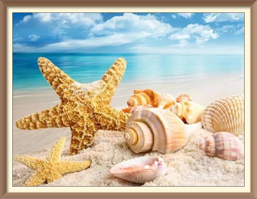 Shells And Starfish - Diamond Paintings - Diamond Art - Paint With Diamonds - Legendary DIY - Best price - Premium - Free Shipping - Arts and Crafts