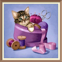 Kittens And Wool Rolls - Diamond Paintings - Diamond Art - Paint With Diamonds - Legendary DIY  | Free shipping | 50% Off
